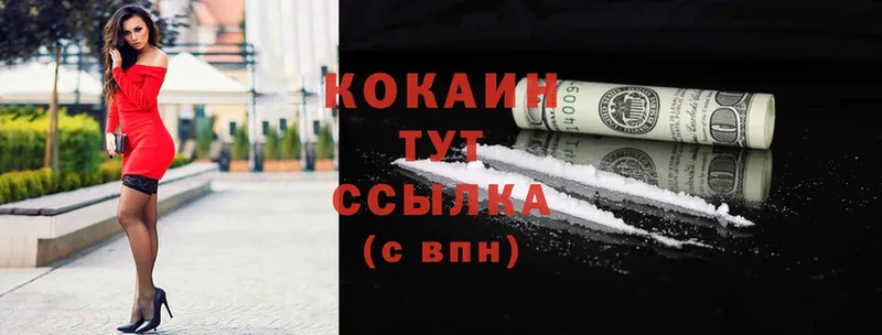 где продают наркотики  Шуя  MEGA ТОР  Cocaine Эквадор 