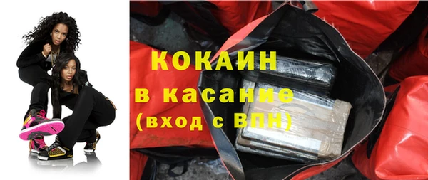 шишки Нязепетровск