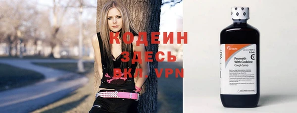 шишки Нязепетровск