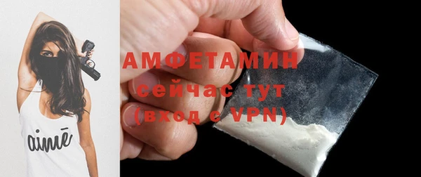 шишки Нязепетровск