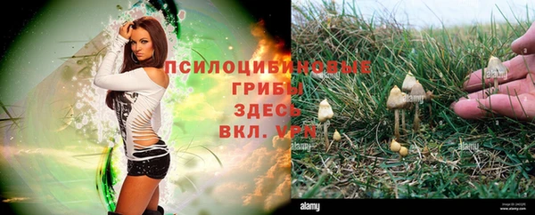 кокс Новокубанск